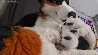 @AngryBarks plays with his step sister's paws, sucks his sperm off them #PawFetish #FootJob #cums on