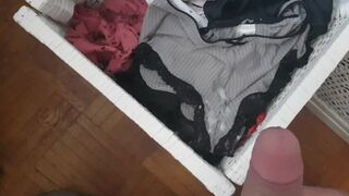 Cum in Sister Panties Drawer - she is not at Home