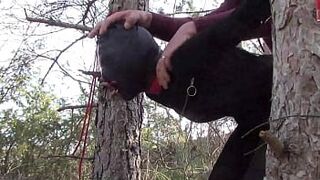Tied up to a tree outdoor on charming clothes, wearing pantyhose and high ankle boots heels, rough fuck